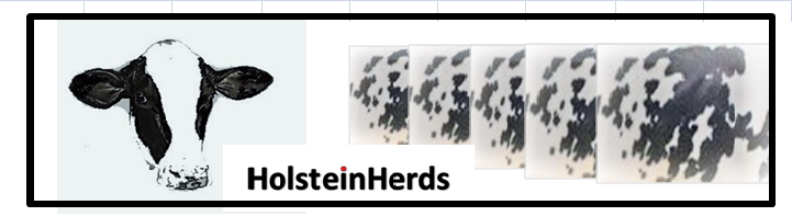 Holsteinherds